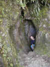 Wiley peaks out from an Inca built tunnel