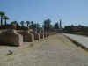 Avenue of Sphinxes at Luxor Temple