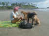 If you've got to be a stray dog, be one at the beach