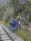 Wiley at the trailhead