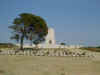 Lone Pine Cemetary, Gallipoli Battlefield